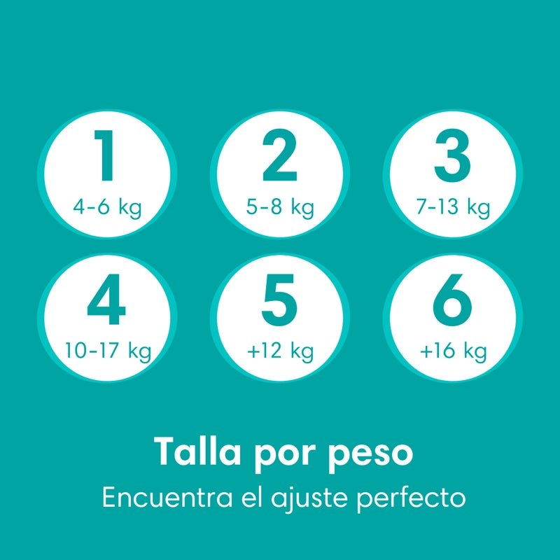 Pañales Pampers Baby Dry Talla 6, 32 unidades - Farmacias Arrocha