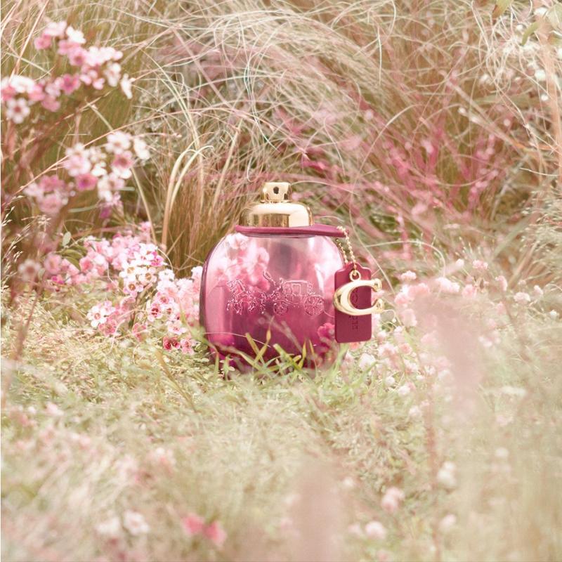 Coach Woman Wild Rose EDP - Farmacias Arrocha