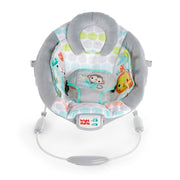Bright Starts Bs Silla De Mecedora Bebe - Farmacias Arrocha