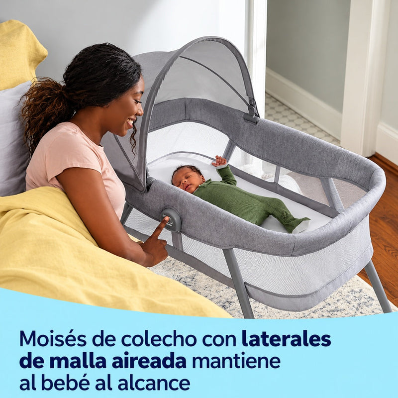 Graco Moisés Portátil 2 en 1 DreamMore Gris