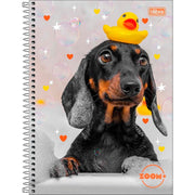 Cuaderno Td Univ Zoom Fem 1m 96h - Farmacias Arrocha