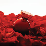 My Wish Addiction EDP - Farmacias Arrocha