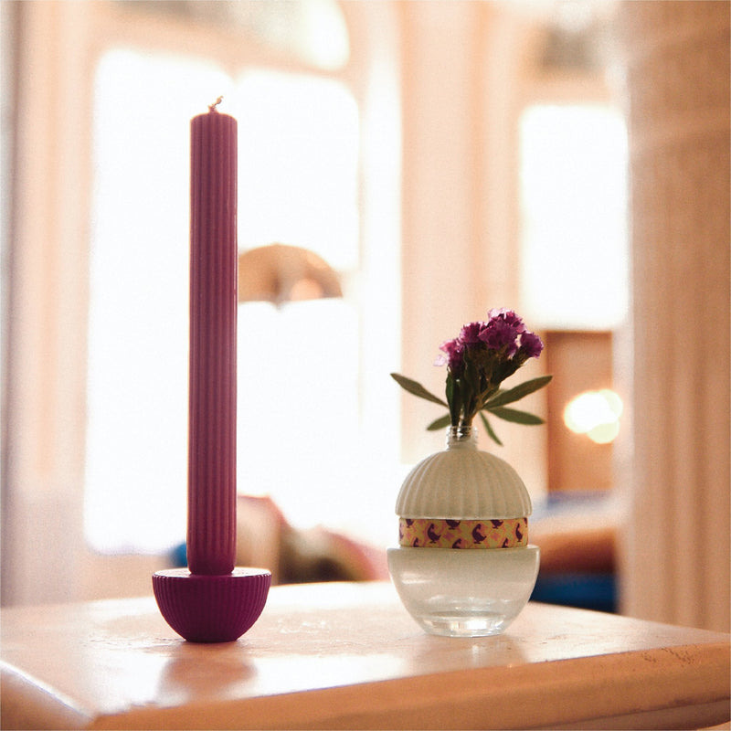 El Ganso Fun & Free EDP - Farmacias Arrocha
