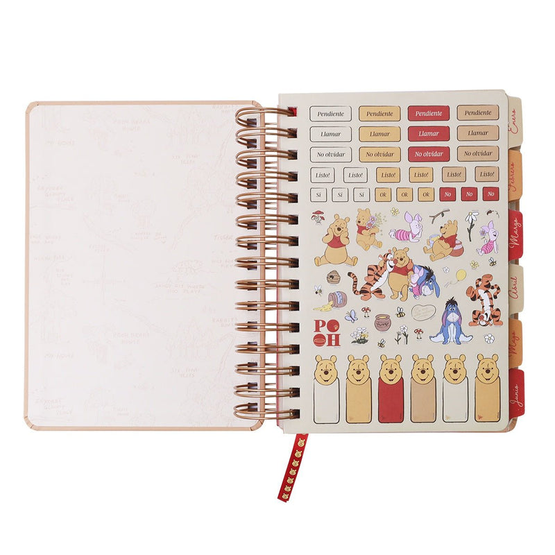 Agenda 14X20 Dxp Winnie The Pooh - Farmacias Arrocha