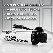 L'Oréal Paris Gel Fijador Brow Lamination Transparent 6ml - Farmacias Arrocha
