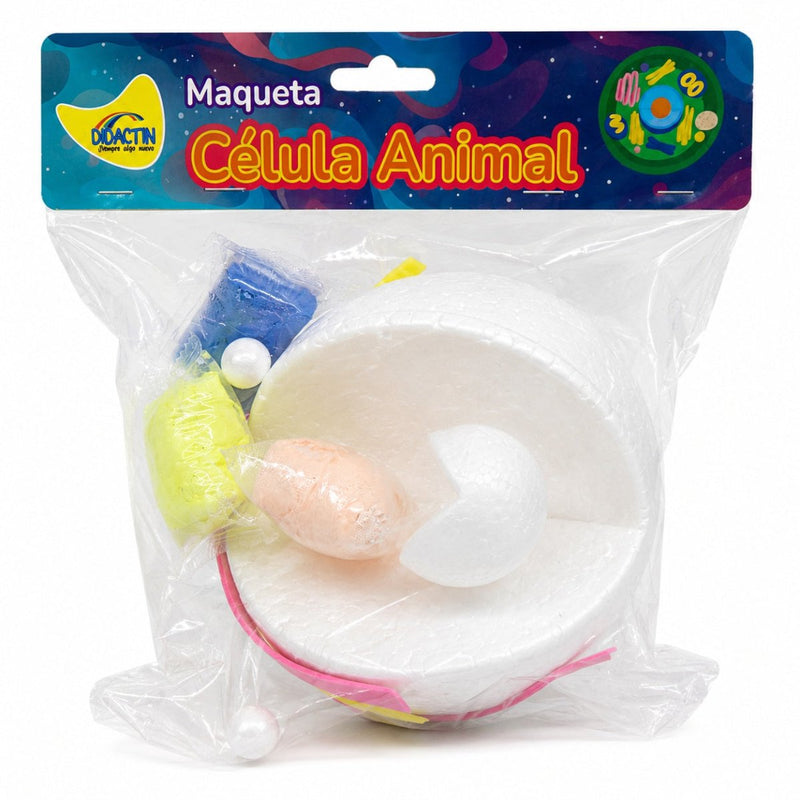 MAQUETA CÉLULA ANIMAL - Farmacias Arrocha