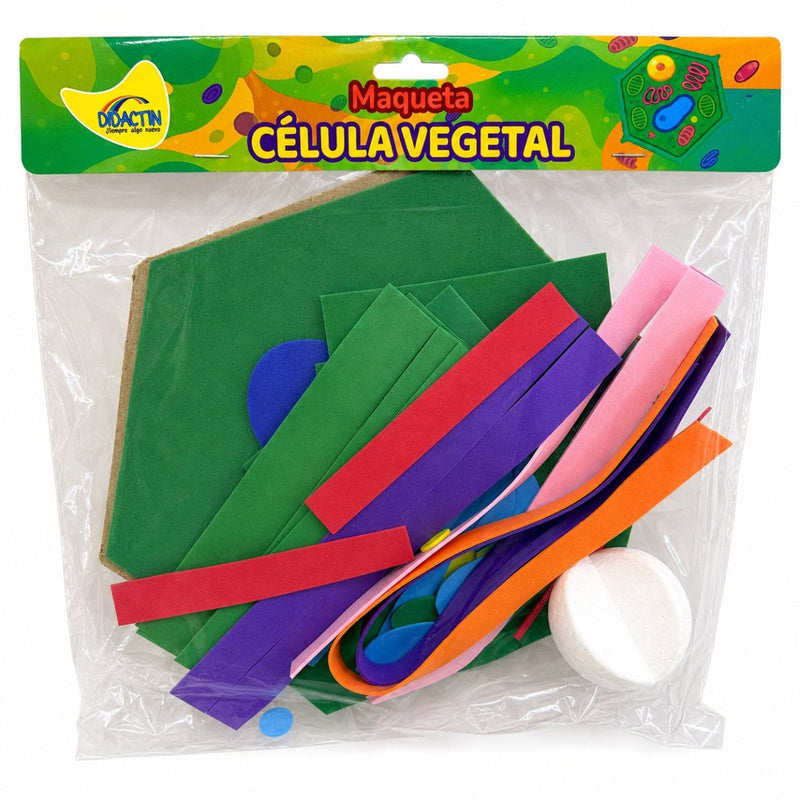 MAQUETA CÉLULA VEGETAL - Farmacias Arrocha
