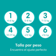 Pañales Pampers Baby Dry Talla 4, 92 unidades - Farmacias Arrocha