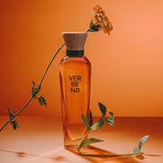 Adolfo Dominguez Agua Fresca Verbena Edt 120Ml - Farmacias Arrocha