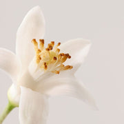 Payot Nue Lait Micellaire Desmaquillante - Farmacias Arrocha