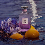 Coach Dreams Moonlight EDP 90ml - Farmacias Arrocha