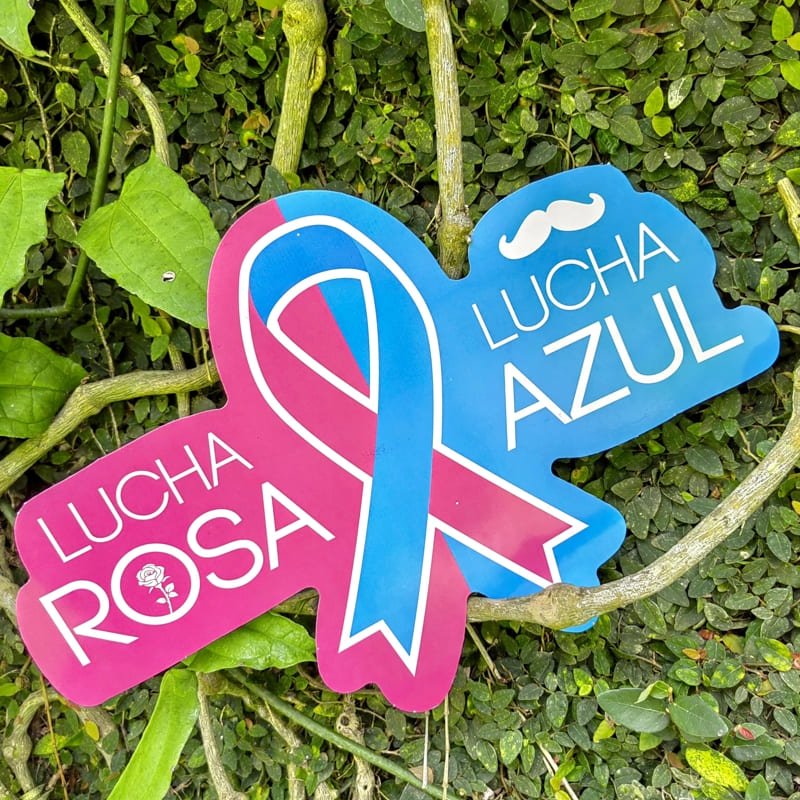 Didactin Movil Lucha Rosa Y Lucha Azul - Farmacias Arrocha