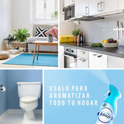 Aromatizante Febreze Air Linen & Sky, 250g - Farmacias Arrocha