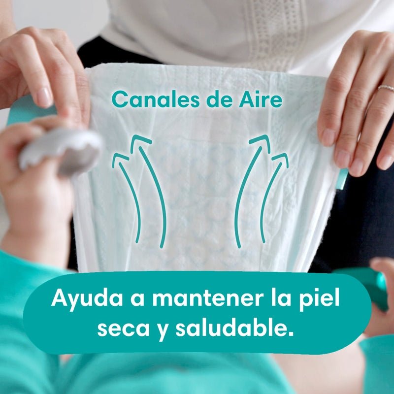 Pañales Pampers Baby Dry Talla 2, 32 unidades - Farmacias Arrocha