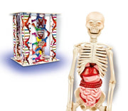 Clementoni El Cuerpo Humano - Farmacias Arrocha