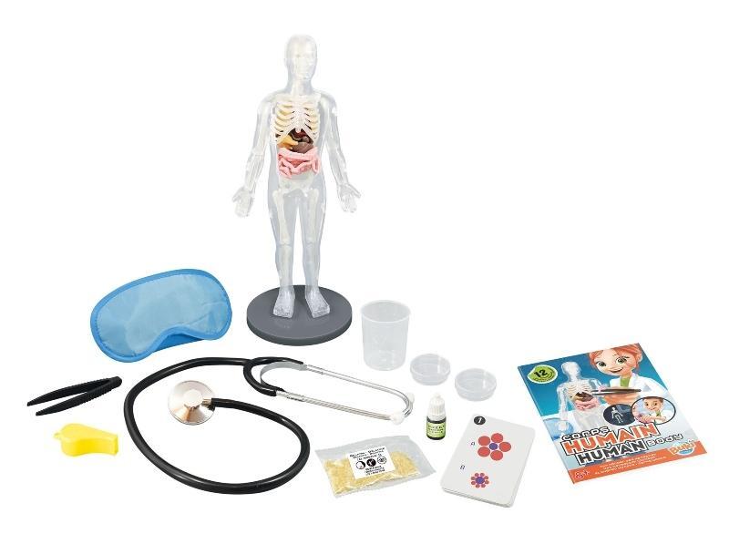 Buki Cuerpo Humano - Farmacias Arrocha