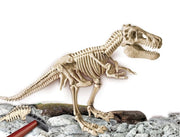 Clementoni Arqueojugando El esqueleto del Gran T-Rex - Farmacias Arrocha